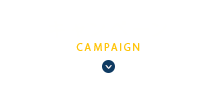 キャンペーン