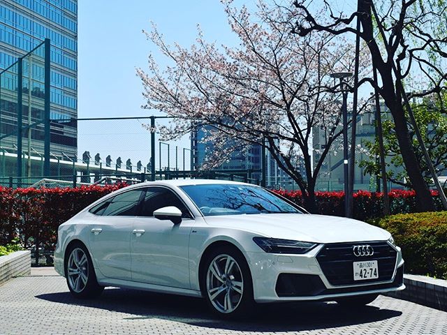 体感キャンペーンまだまだやっています🚘今週は梅雨が明けそうな予感！レンタカーで快適ドライブはいかがですかアウディA7 6時間 16,038円〜HPはプロフィールから:@tastech.inc#タステック #タステックレンタリース#オリックス #オリックスレンタカー#アウディ #アウディA7#外車 #輸入車 #高級車 #国産車#スポーツカー#上質な暮らし #贅沢な時間#home #ファミリー#ドライブ #大人デート#夏祭り #避暑地#海 #山 #川#レンタカーで#出かけたい #旅行#羽田空港 #hanedaairport